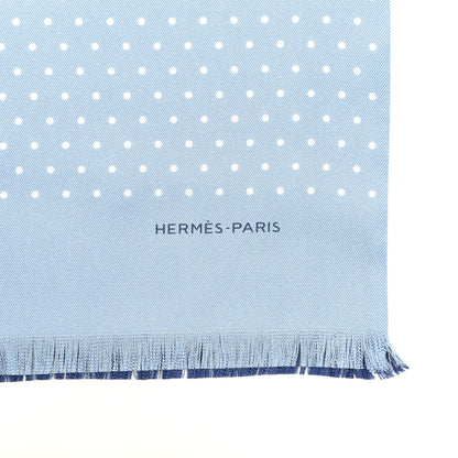 Hermes Silk Echarpe Muffler 3 of 4