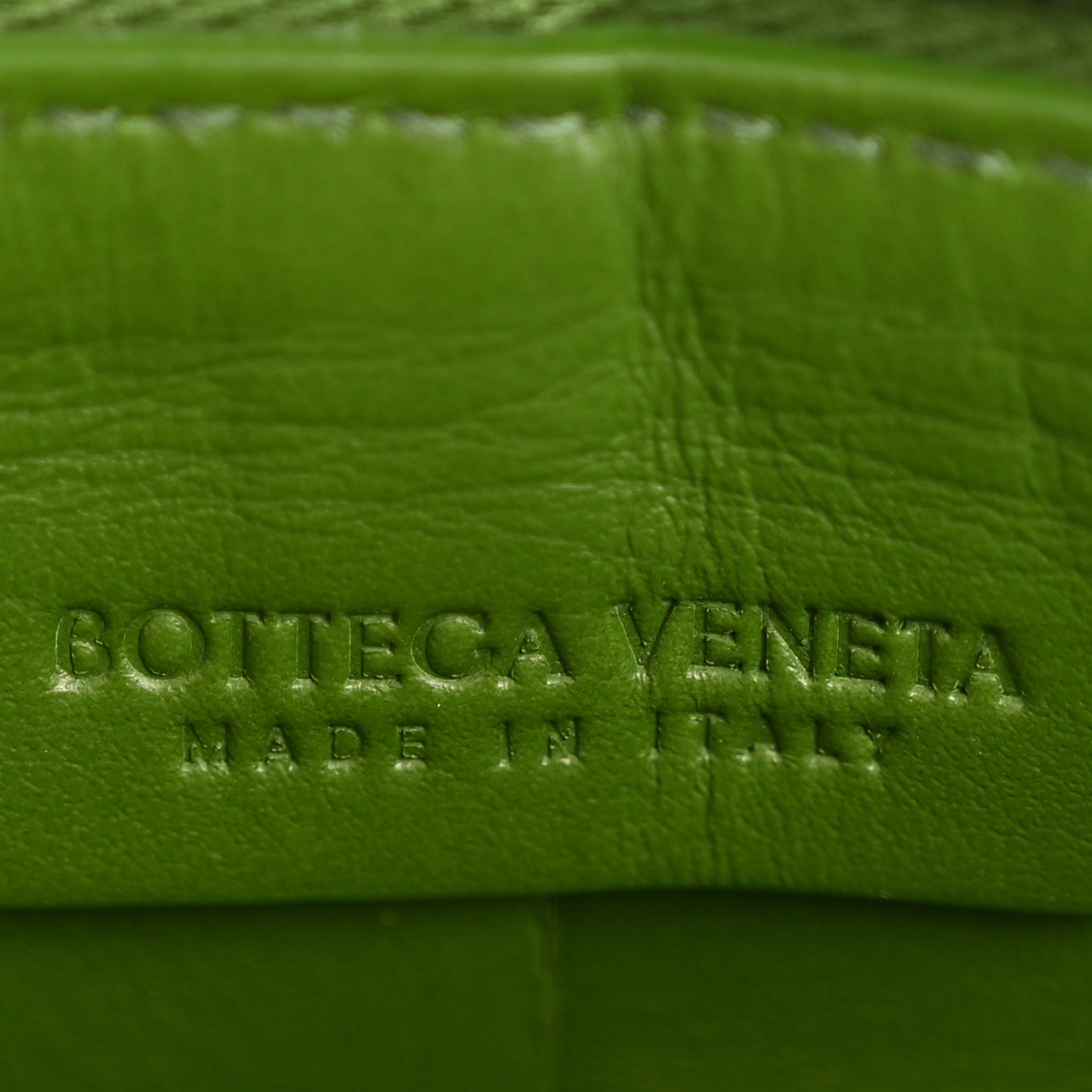 Calfskin Maxi Intrecciato Cassette Camera Bag Avocado
