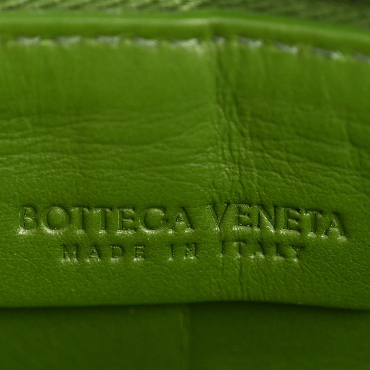 Bottega Veneta Calfskin Maxi Intrecciato Cassette Camera Bag Avocado 6 of 11
