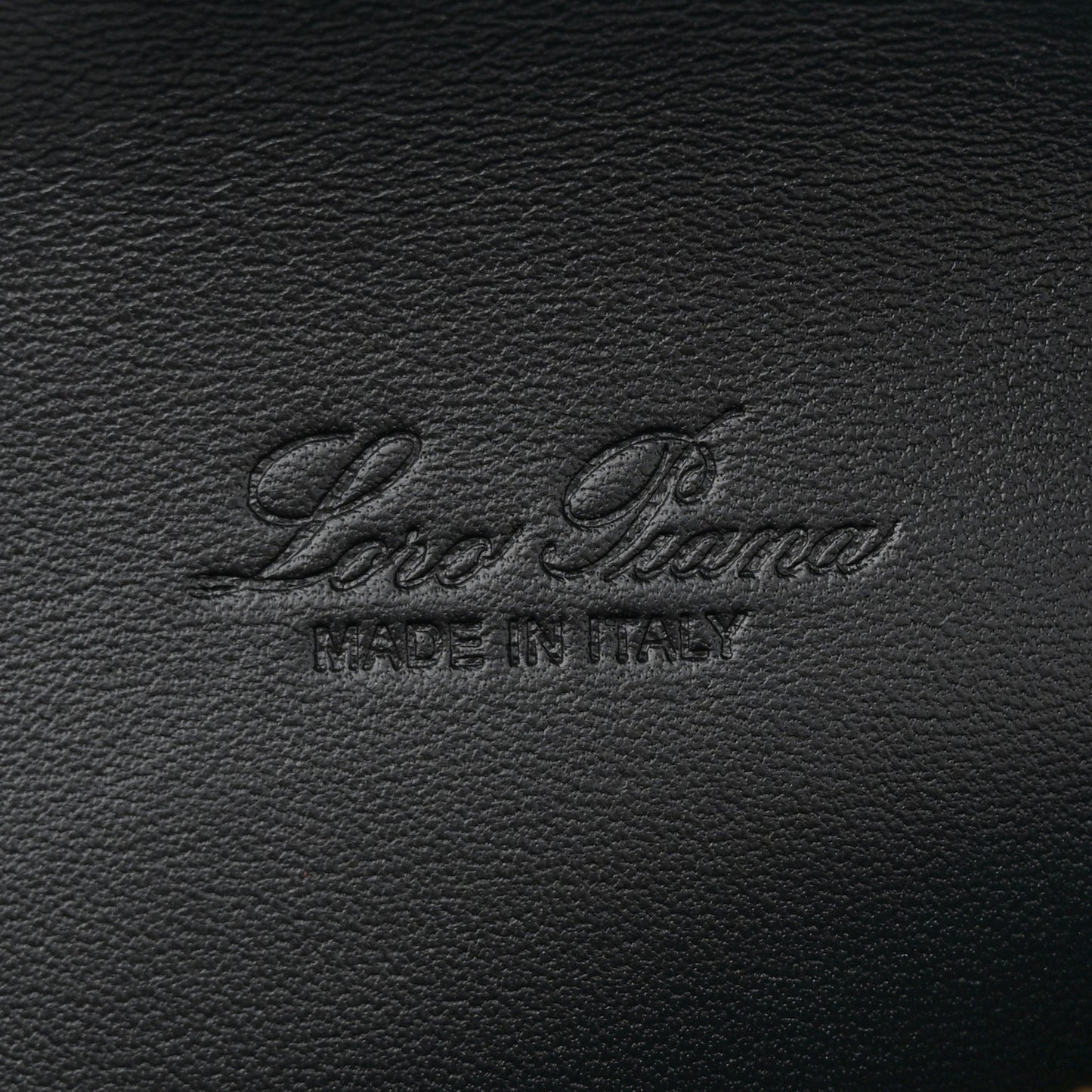 Grained Calfskin L19 Extra Pocket Pouch Black