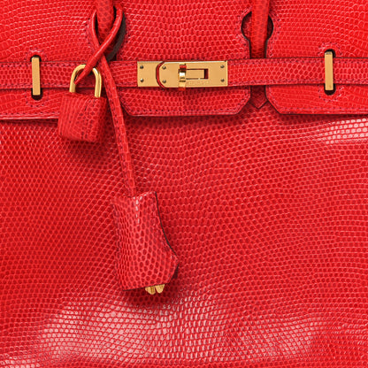Hermes Lizard Birkin 25 Rouge Moyen 8 of 16