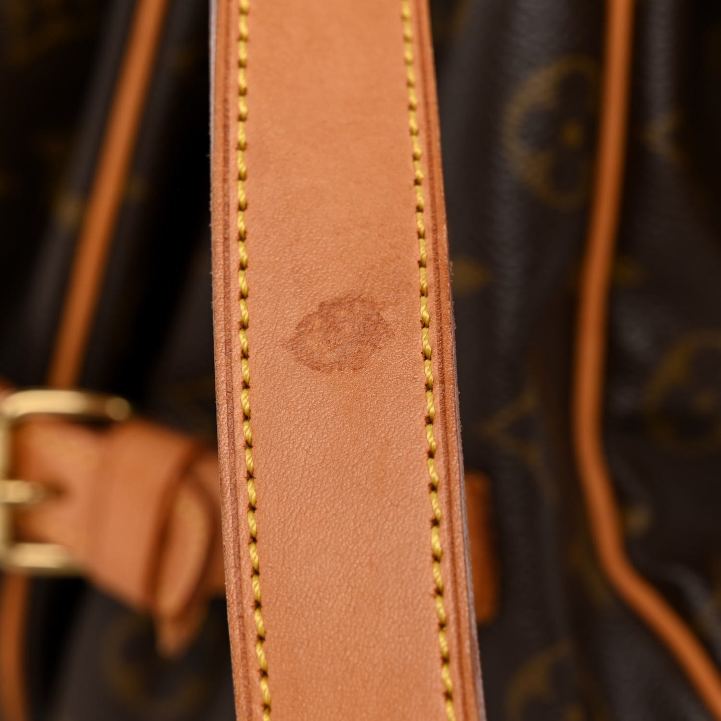Monogram Saumur 35