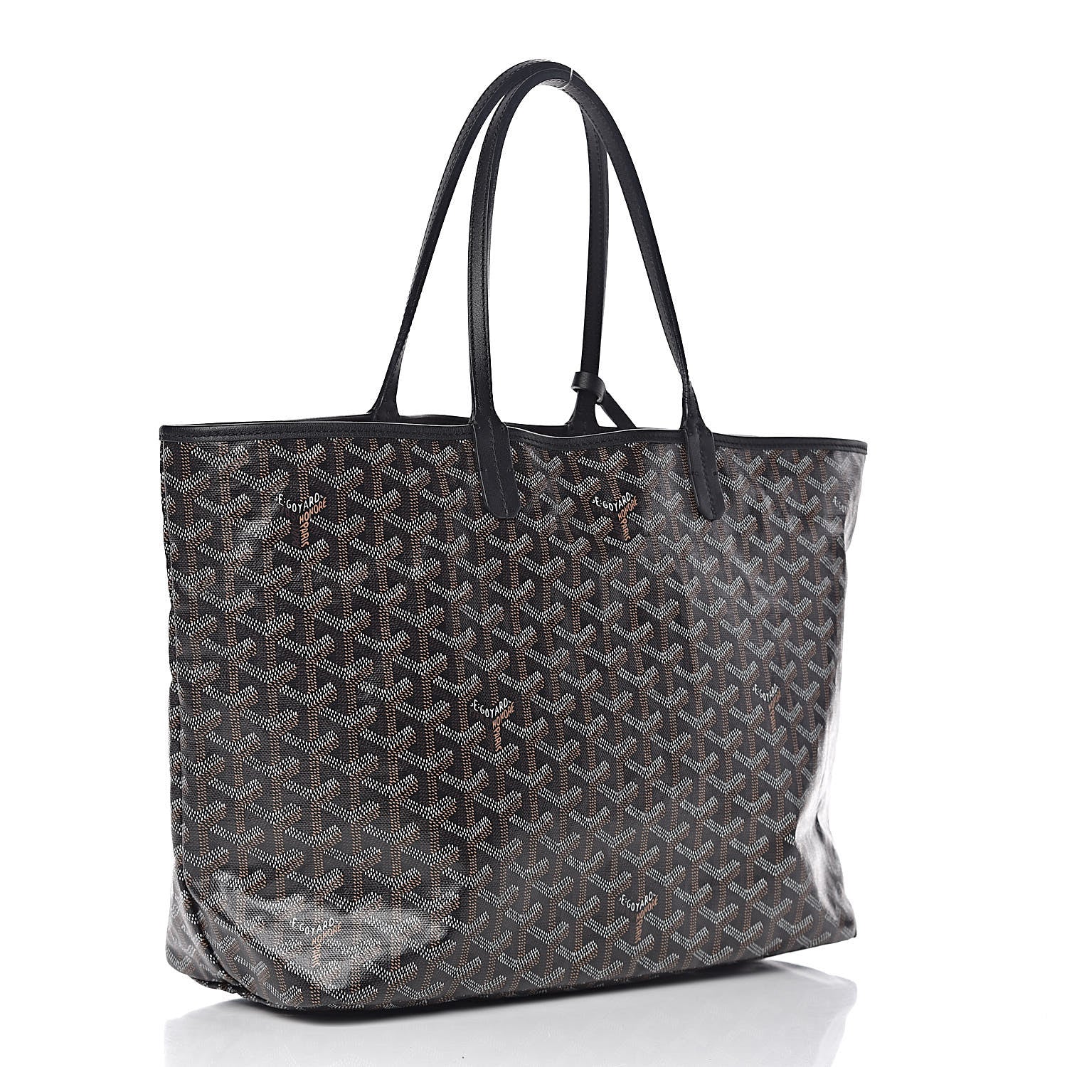 Goyard Goyardine Saint Louis PM Black 4 of 10