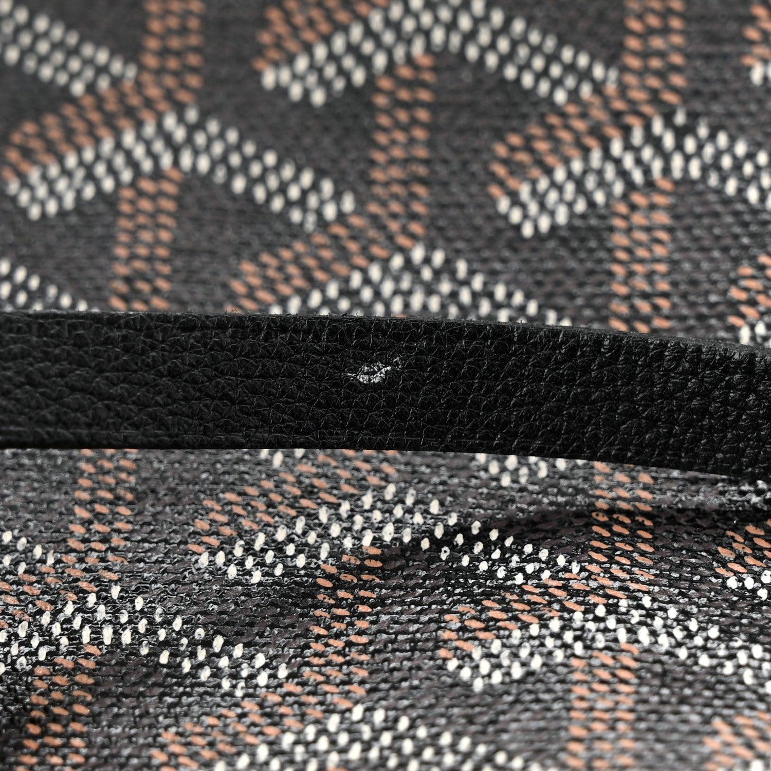 Goyard Goyardine Saint Louis GM Black 15 of 15