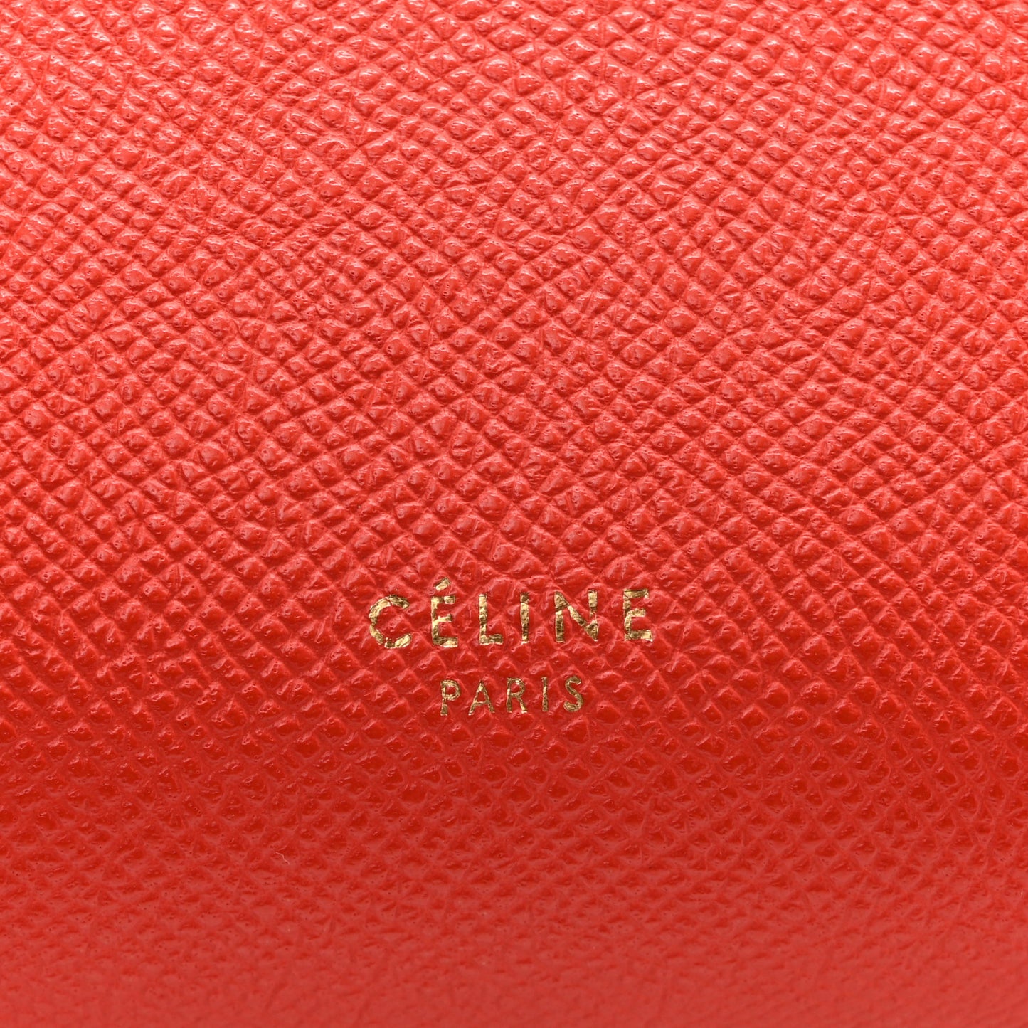 Grained Calfskin Nano Belt Bag Coral
