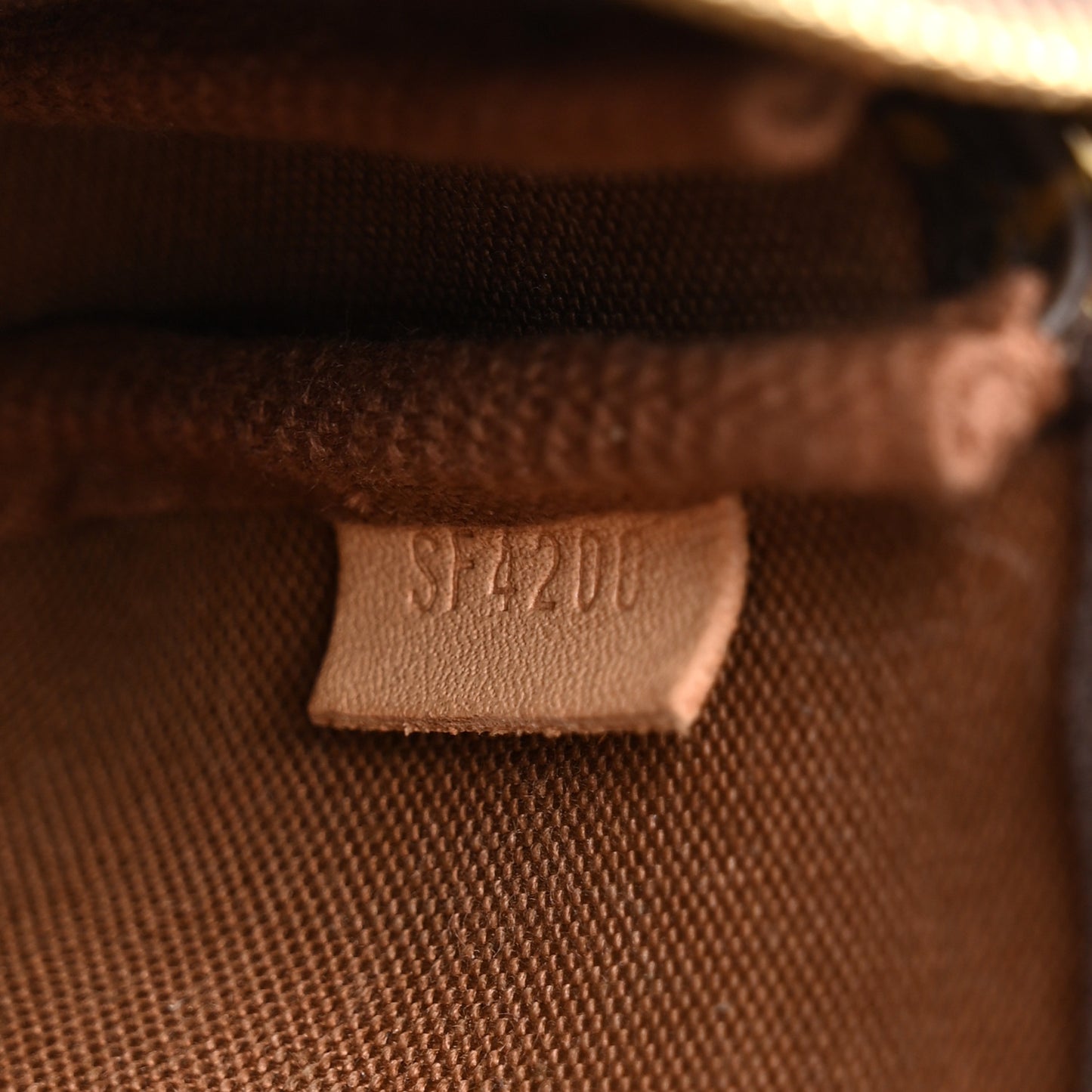 Monogram Mini Pochette Accessories