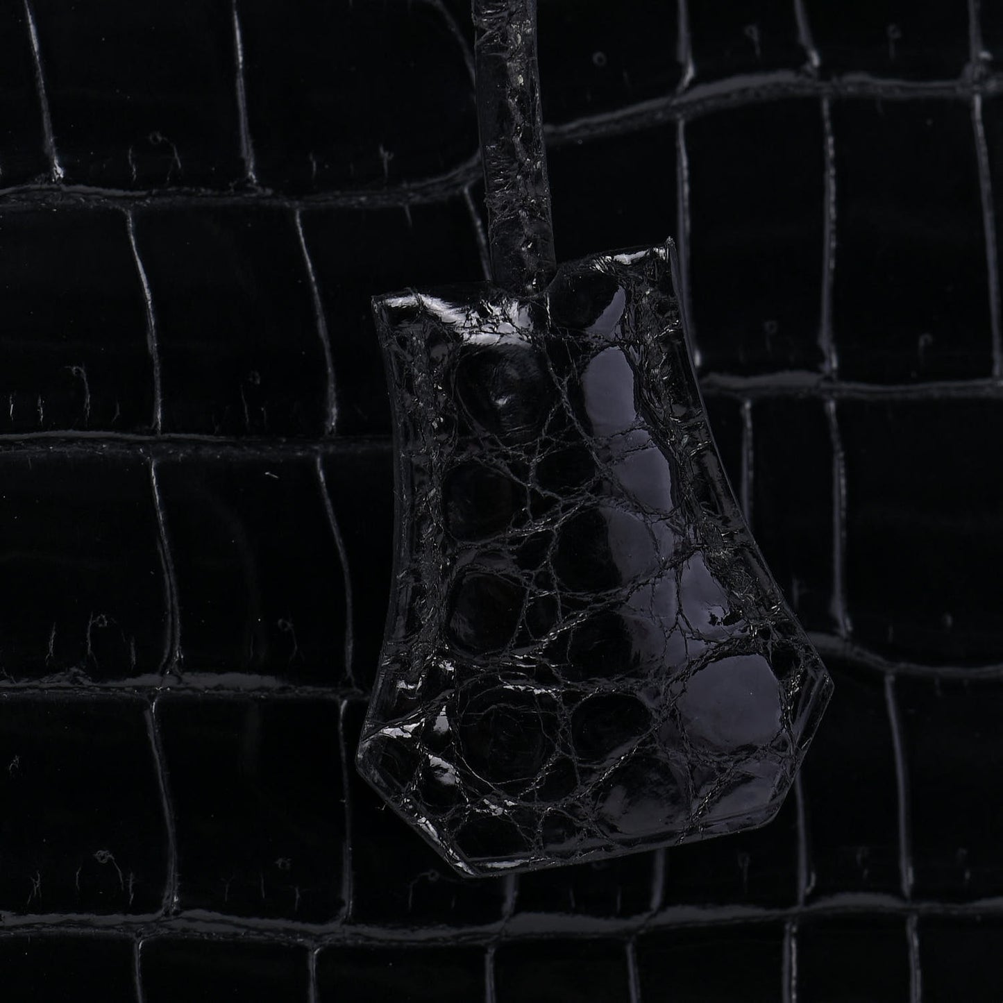 Shiny Porosus Crocodile Birkin 35 Black