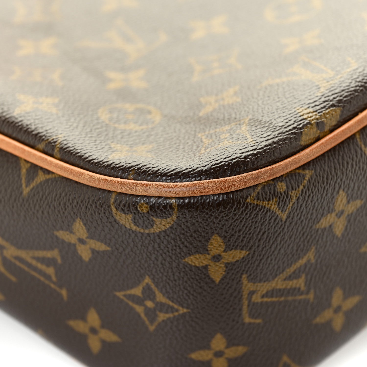 Louis Vuitton Monogram Hudson GM 19 of 26