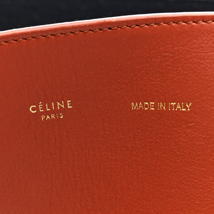 Celine Shiny Smooth Calfskin Zebra Printed Felt Small Twisted Cabas Chalk Brick 7 of 10