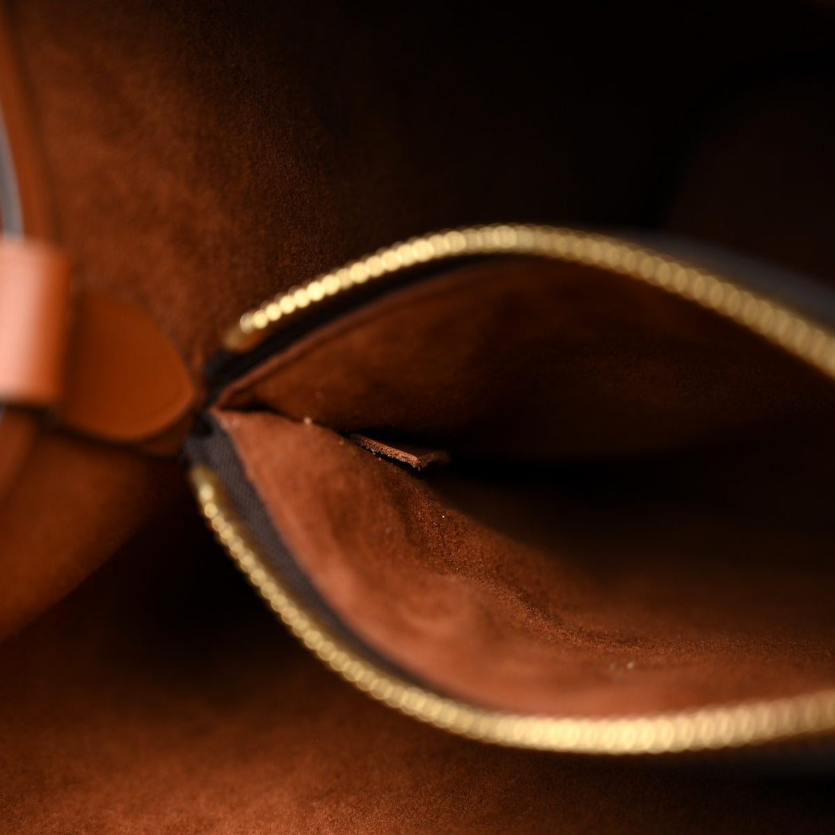 Louis Vuitton Monogram Neonoe MM Caramel 7 of 10
