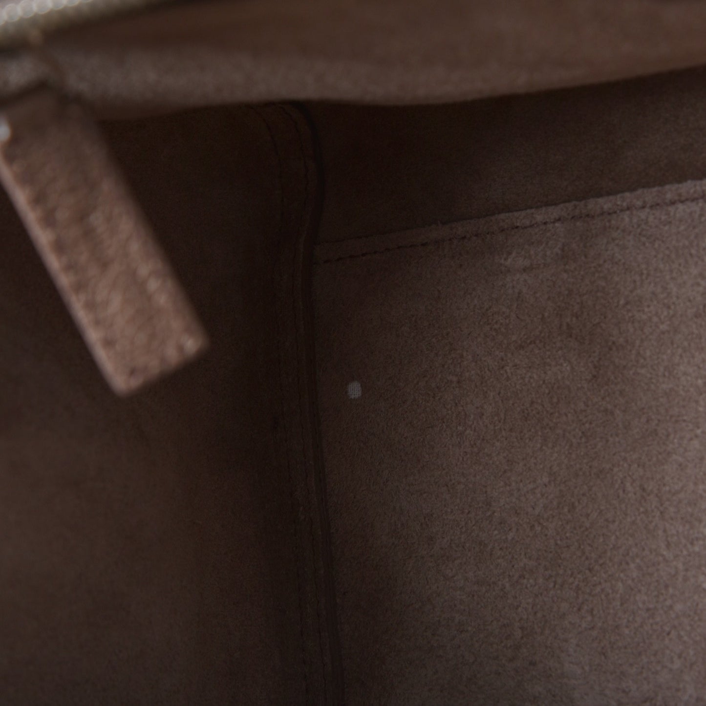 Grained Calfskin Small Rive Gauche Fard