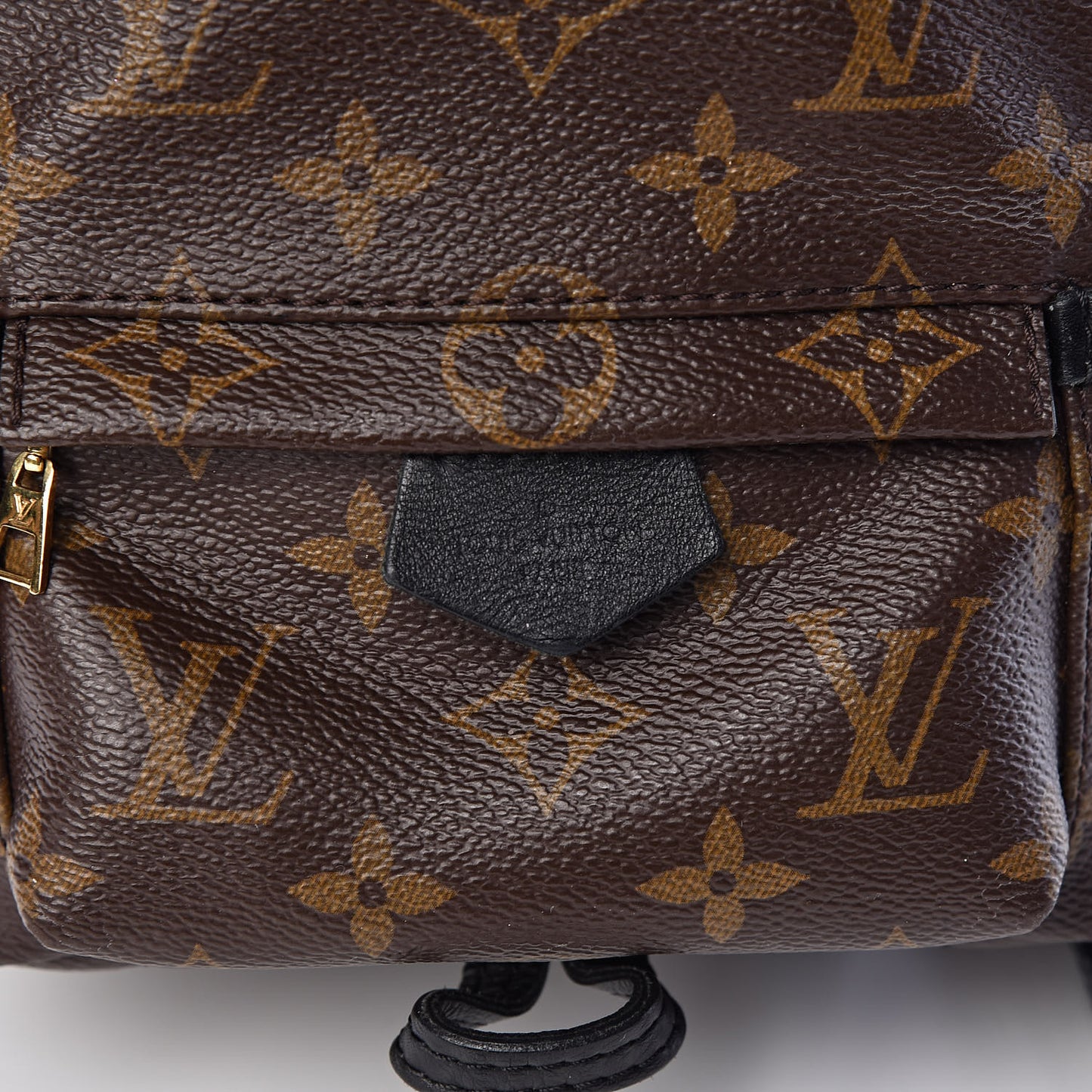 Monogram Palm Springs Backpack Mini