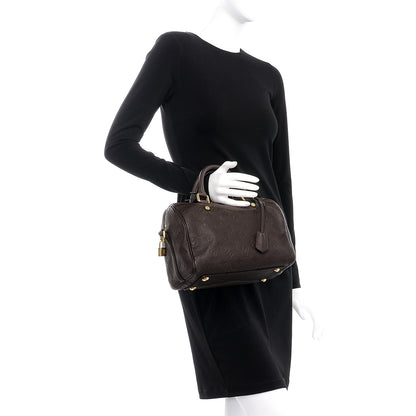 Louis Vuitton Empreinte Speedy Bandouliere 25 Terre 3 of 9