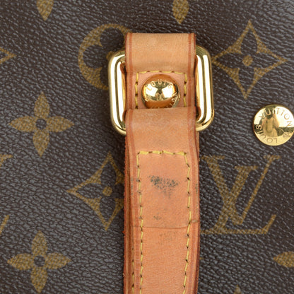 Louis Vuitton Monogram Baxter PM Dog Pet Carrier 8 of 10