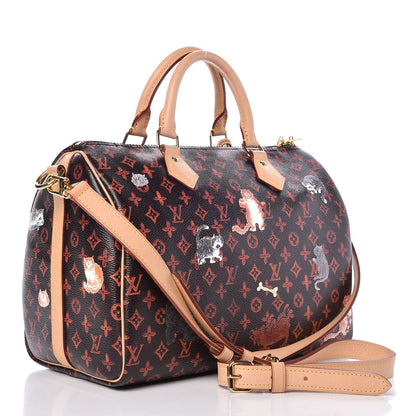 Louis Vuitton Catogram Speedy Bandouliere 30 Marron 4 of 8