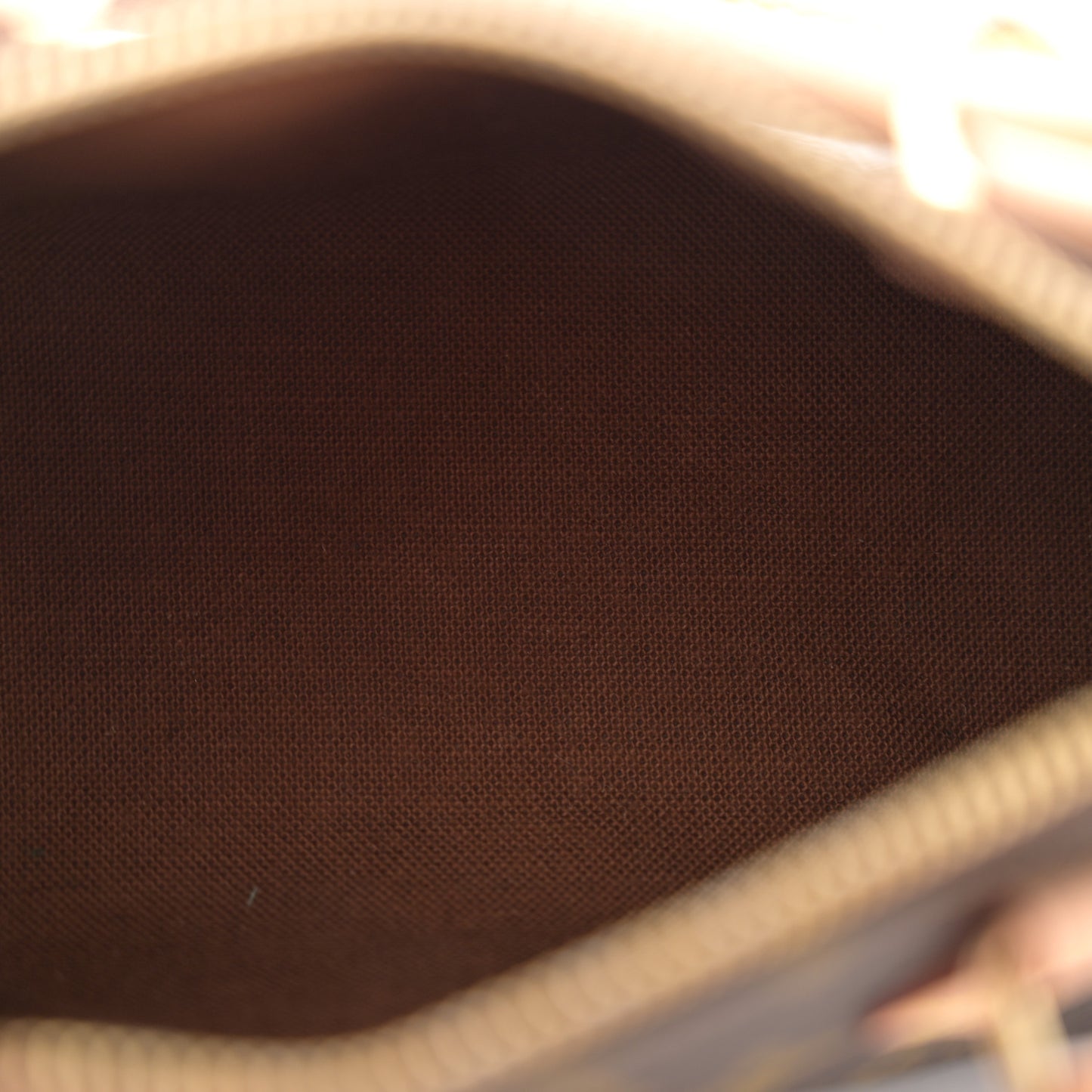Monogram Mini Sac HL Speedy