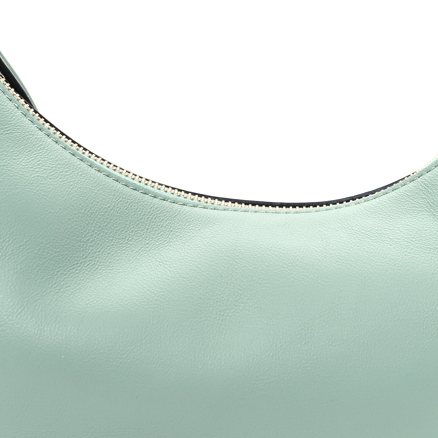 Vitello Grace Matte Small Fendigraphy Hobo Bag Menta