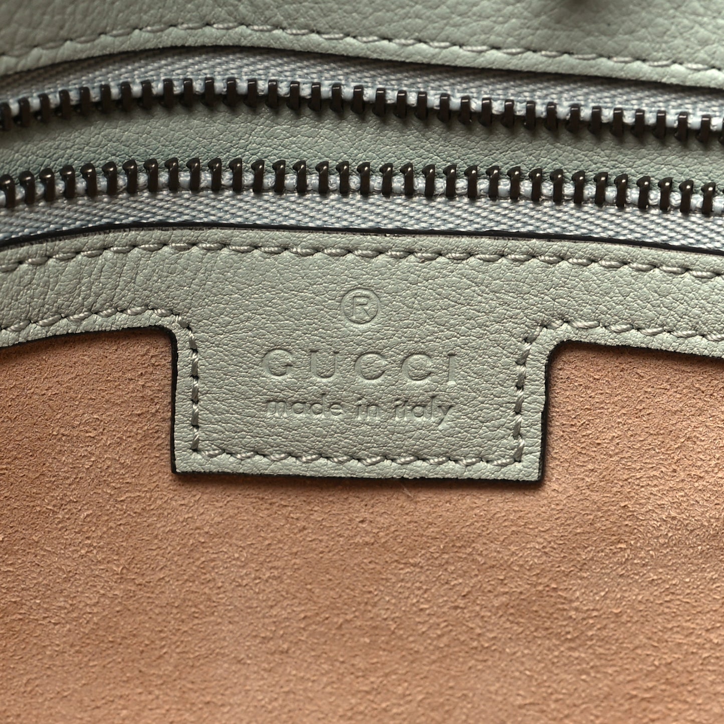 Softy Wonka Textured Dollar Calfskin Medium Diana Shoulder Bag Salvy Green