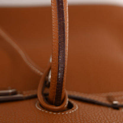 Hermes Fjord Birkin 35 Gold 14 of 19