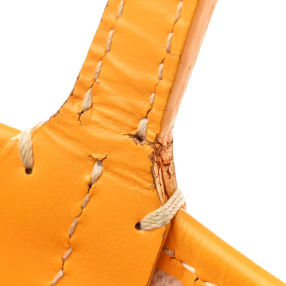 Goyard Goyardine Saint Louis PM Yellow 14 of 14