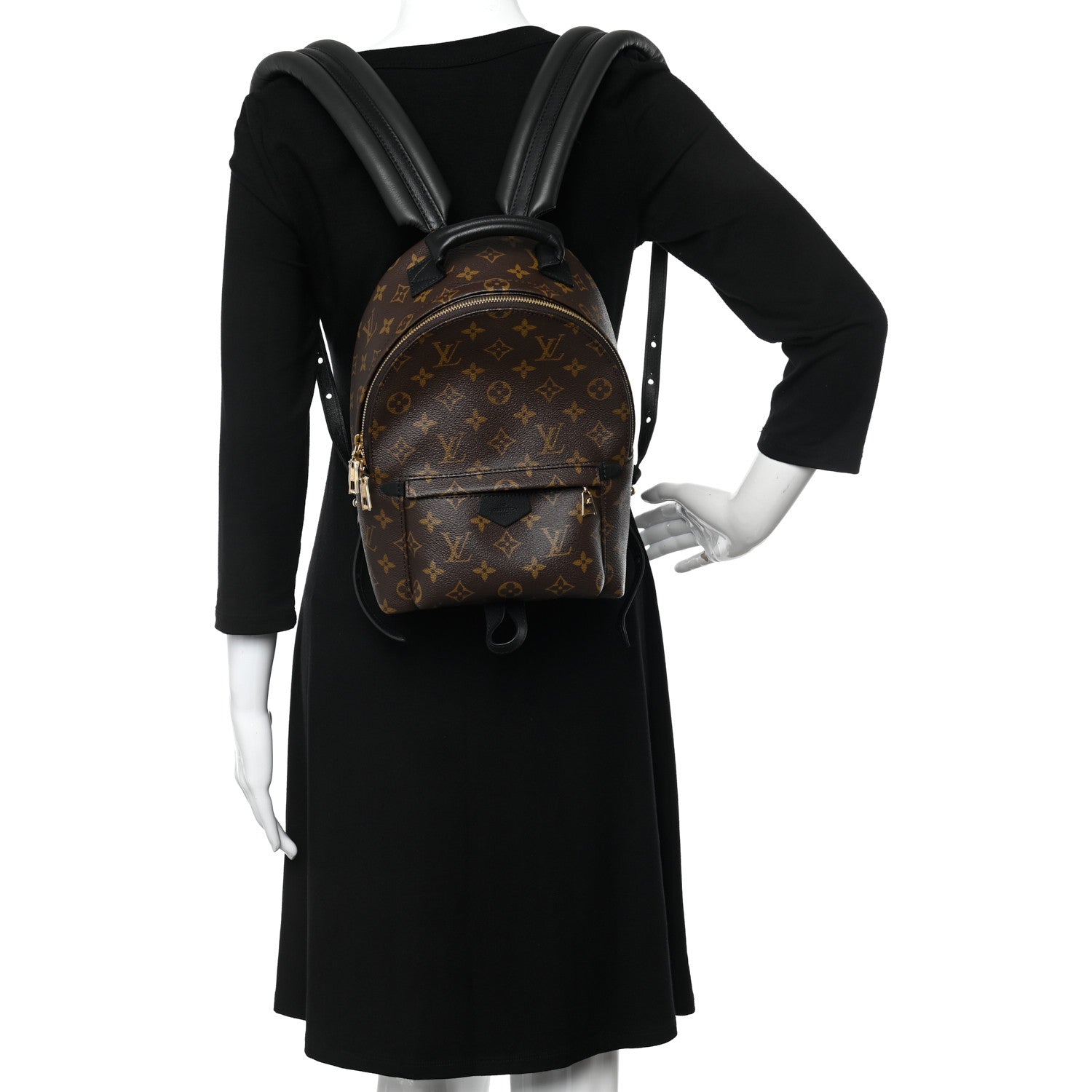 Louis Vuitton Monogram Palm Springs Backpack PM 2 of 9