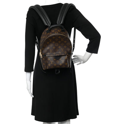 Louis Vuitton Monogram Palm Springs Backpack PM 2 of 9