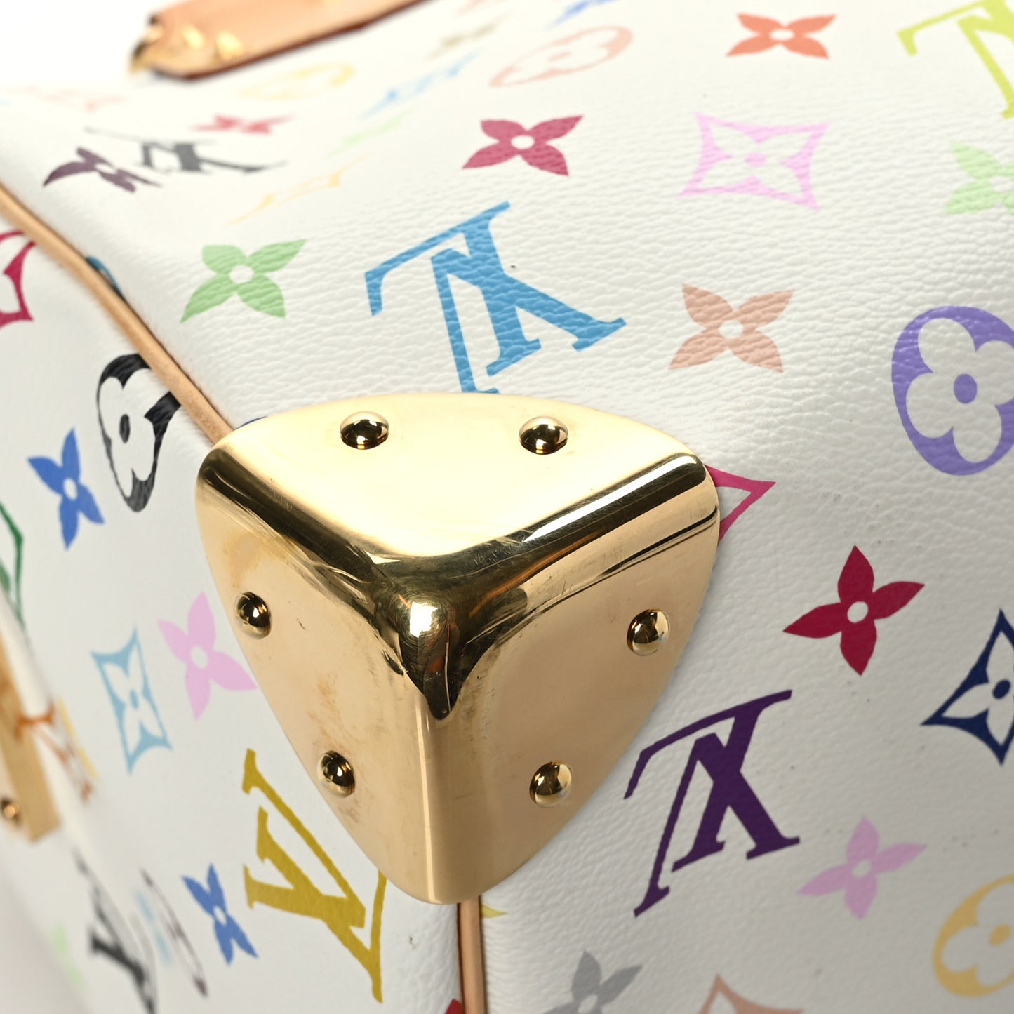 Monogram Multicolor Speedy 30 White