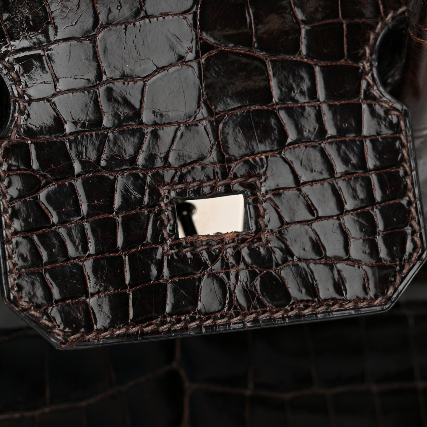 Shiny Niloticus Crocodile Birkin 30 Havane