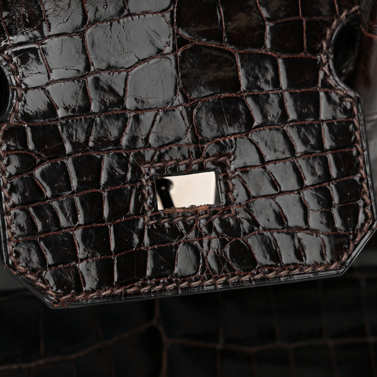 Hermes Shiny Niloticus Crocodile Birkin 30 Havane 10 of 16