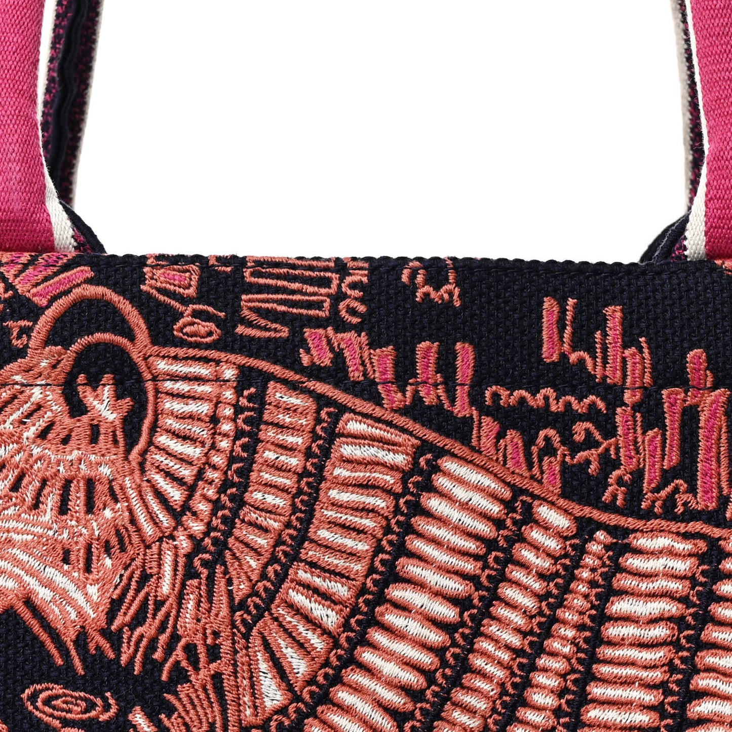 Canvas Embroidered Dior Animals Tiger Book Tote Deep Blue Fuchsia