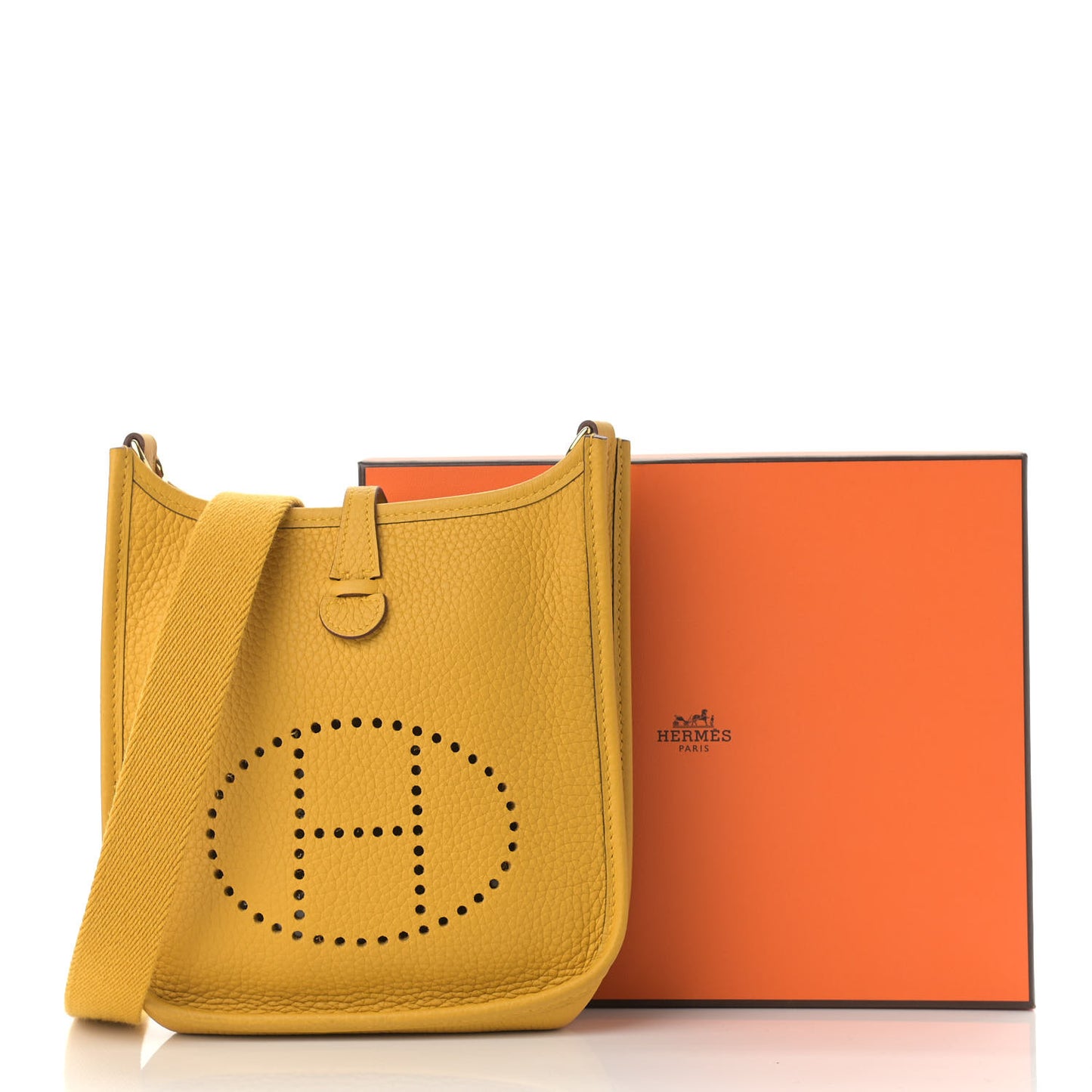 Taurillon Clemence Evelyne TPM Jaune Ambre