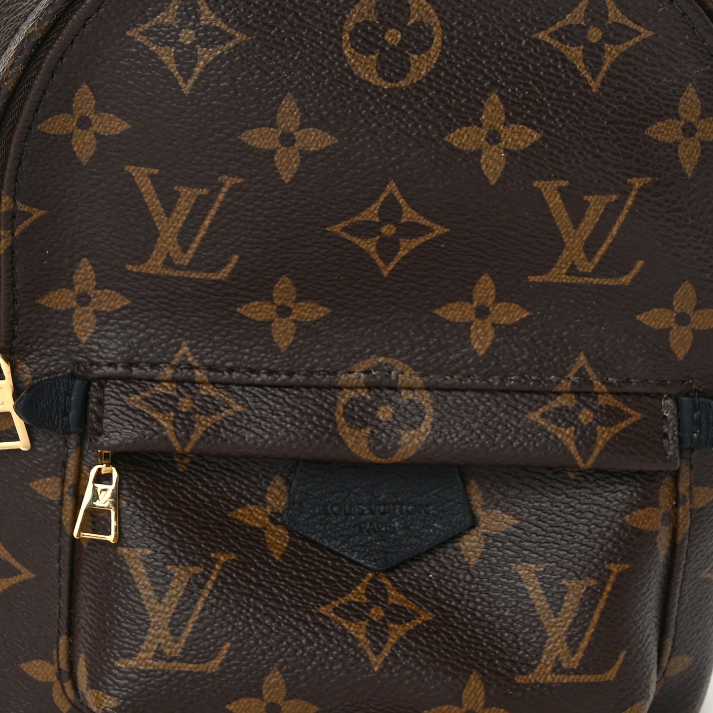 Monogram Palm Springs Backpack Mini