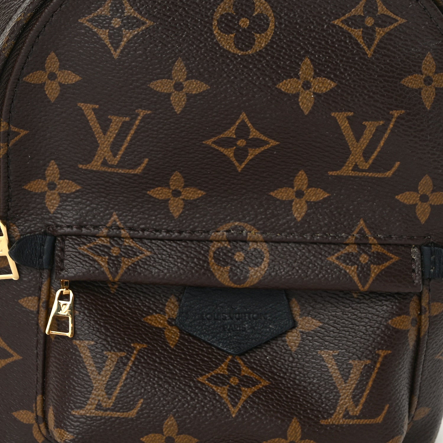 Louis Vuitton Monogram Palm Springs Backpack Mini 7 of 14