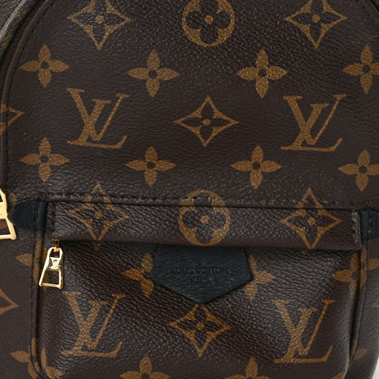 Louis Vuitton Monogram Palm Springs Backpack Mini 7 of 14