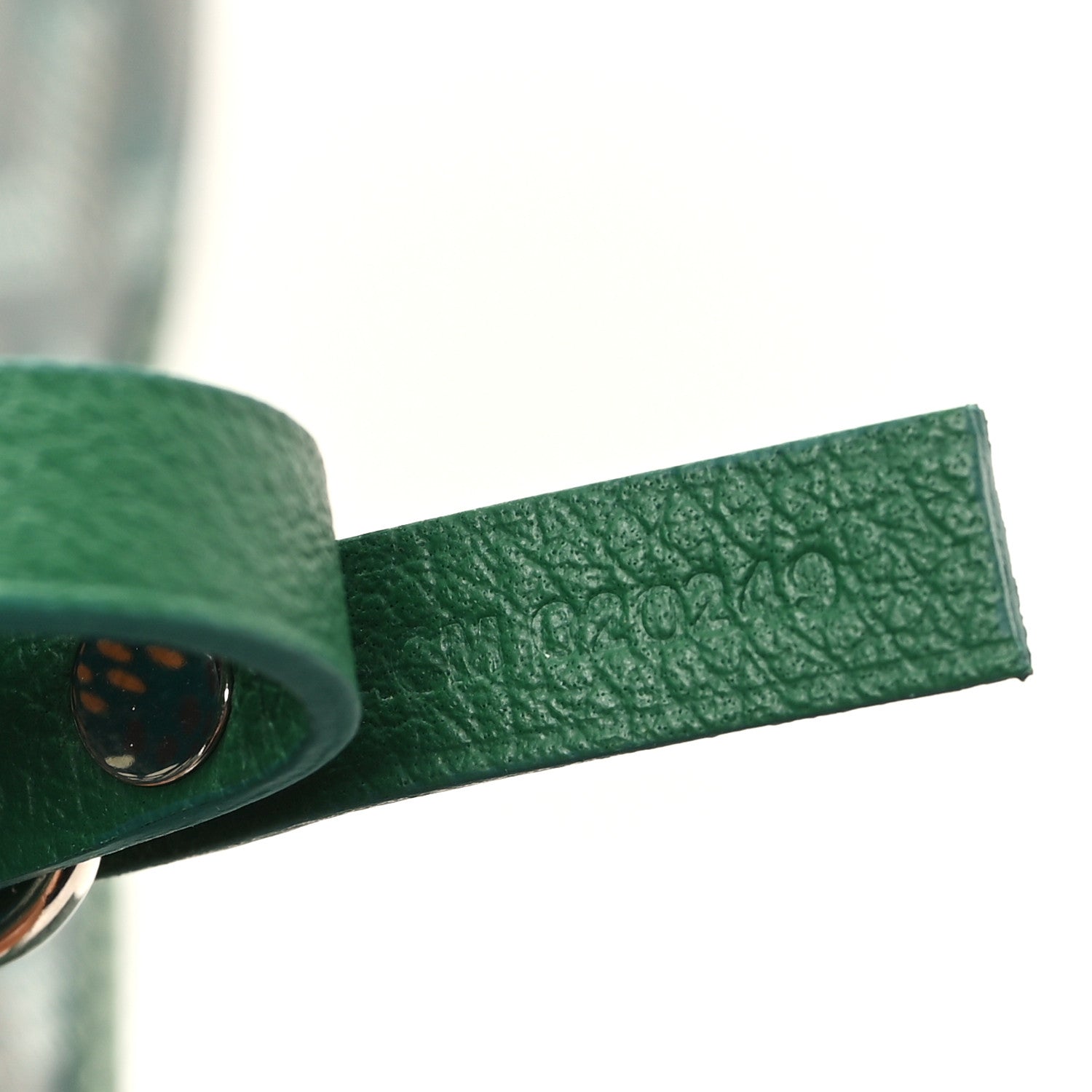 Goyard Goyardine Saint Louis PM Green 8 of 11