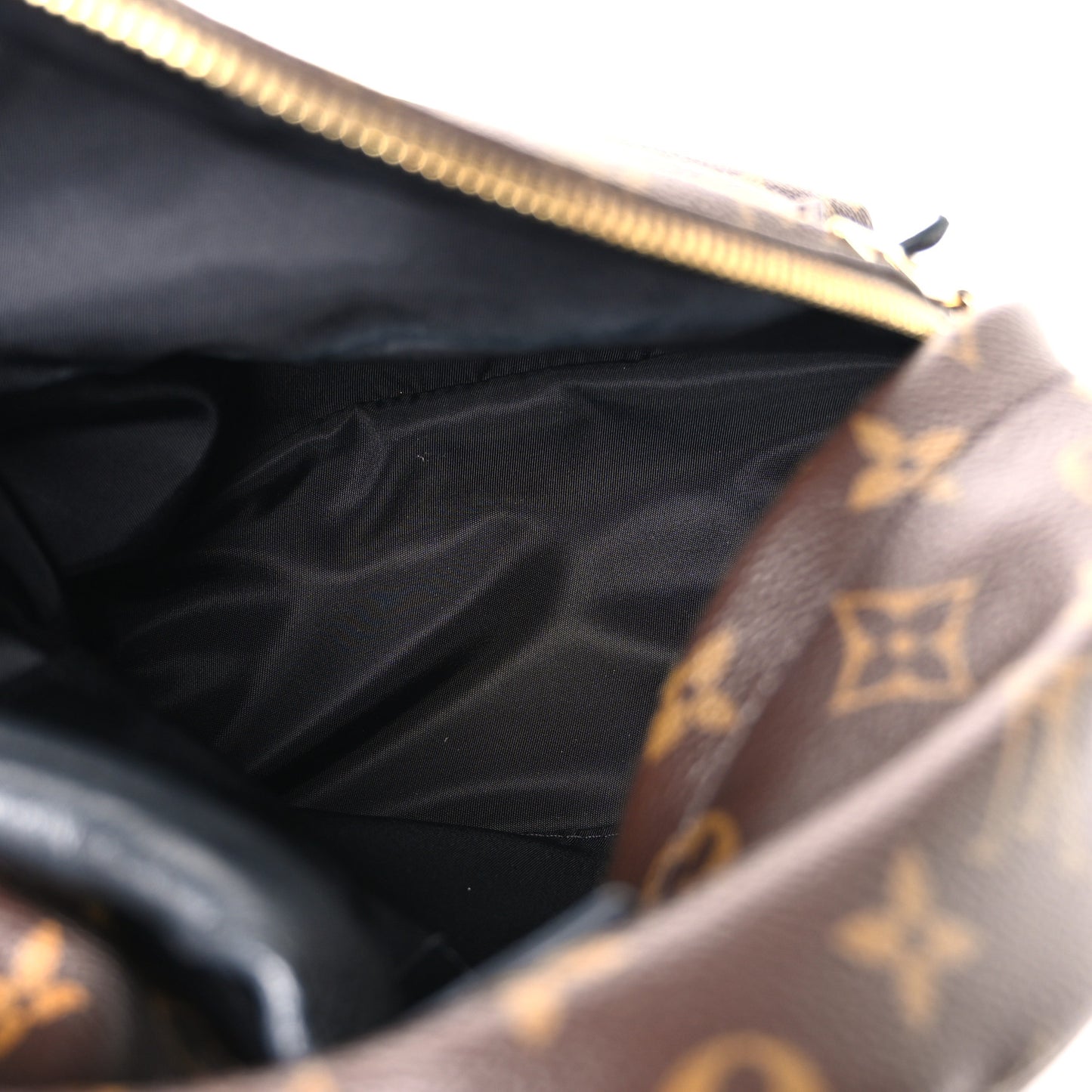 Monogram Palm Springs Backpack Mini