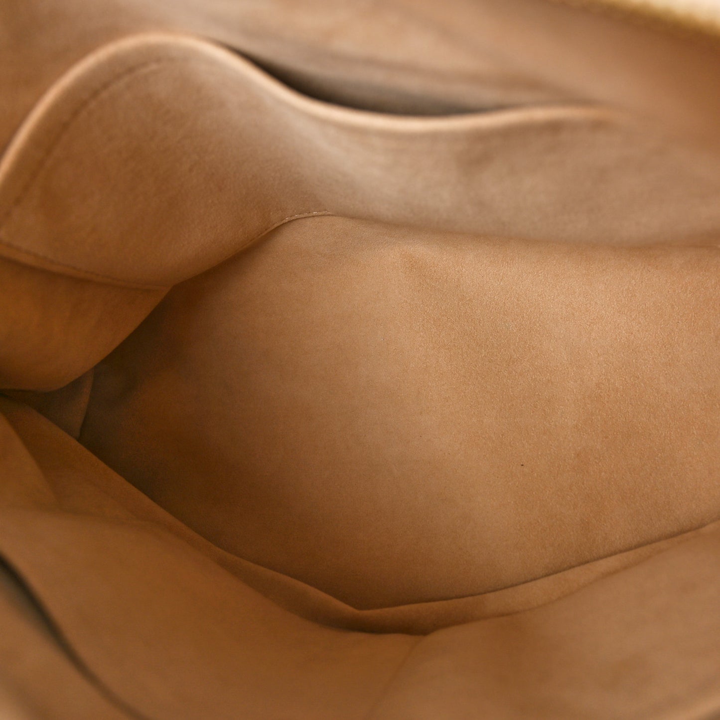 Monogram Pallas Dune