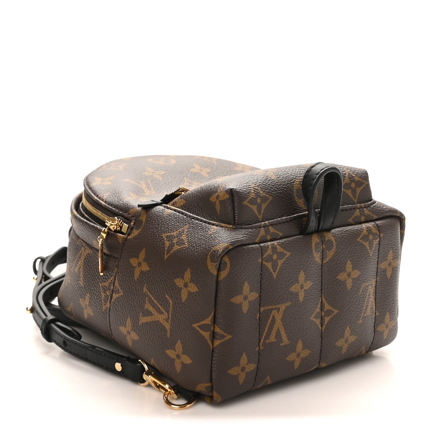 Monogram Palm Springs Backpack Mini