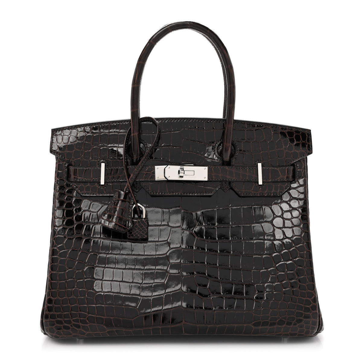 Shiny Porosus Crocodile Birkin 30 Macassar