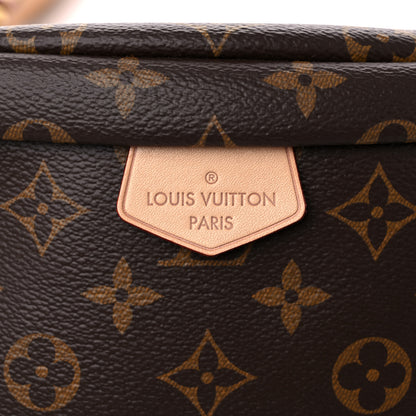 Louis Vuitton Monogram Bumbag 10 of 14