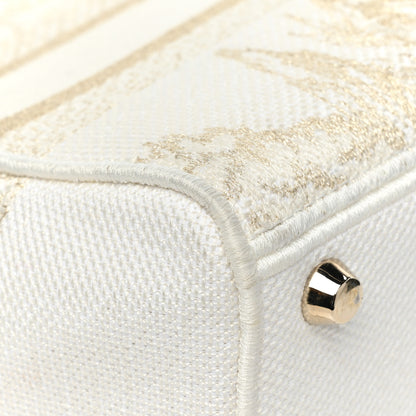 Christian Dior Canvas Around The World Stella Embroidered Medium Lady D-Lite White Gold 12 of 14