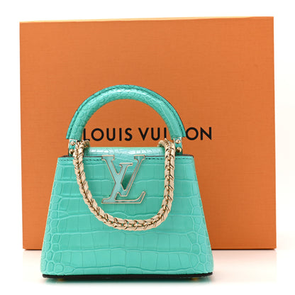 Louis Vuitton Iridescent Alligator Nano Capucines 11 of 11