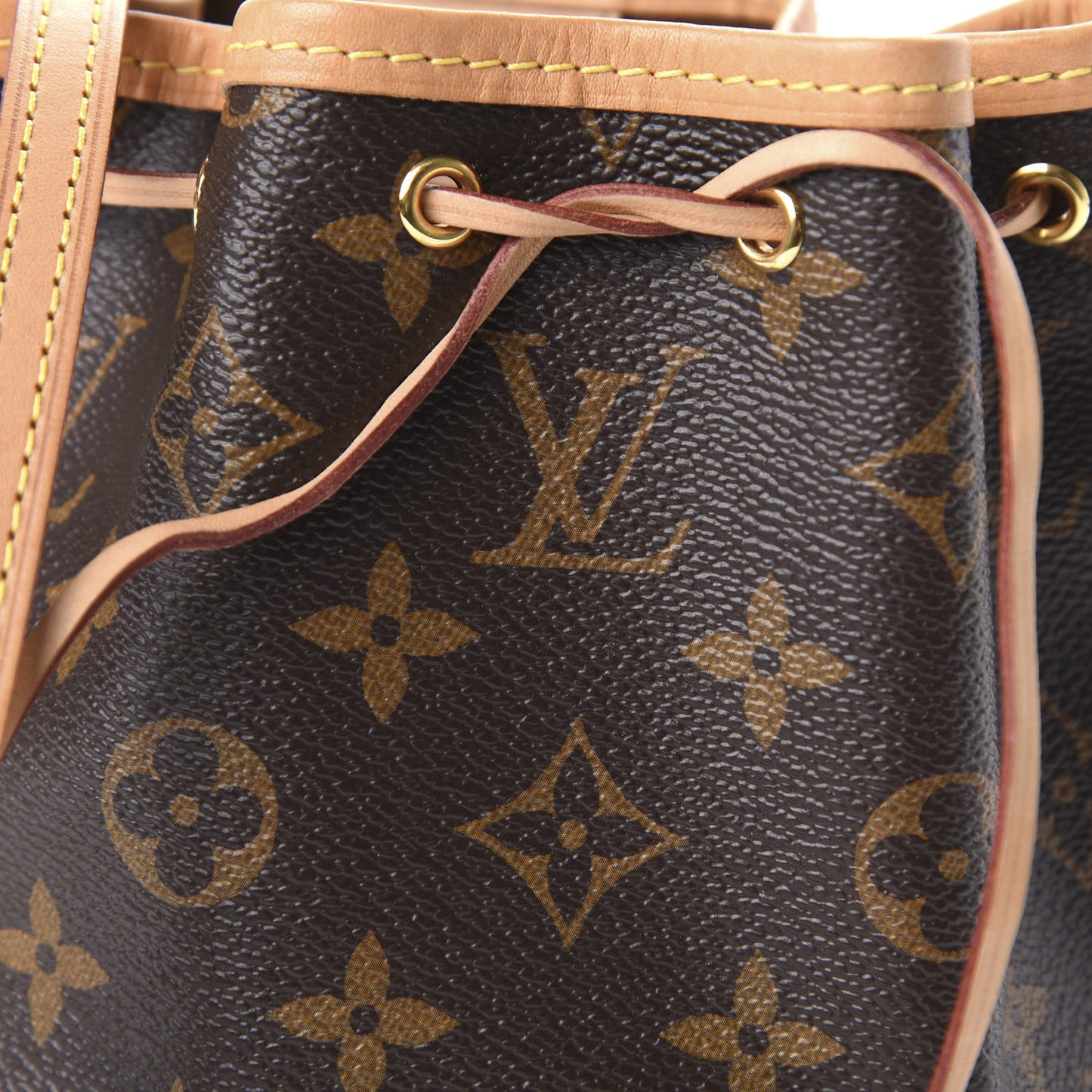 Monogram Nano Noe