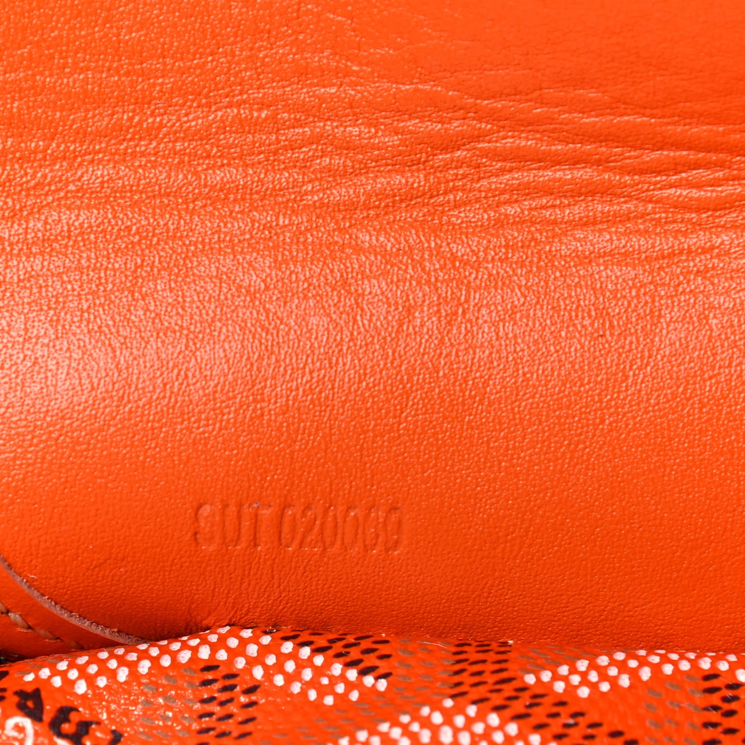 Goyard Goyardine Saint Louis PM Orange 7 of 10