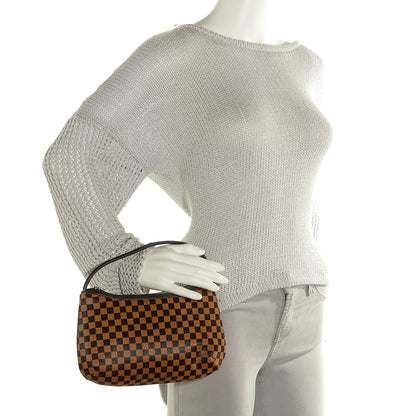 Louis Vuitton Calf Hair Damier Sauvage Tigre 2 of 7