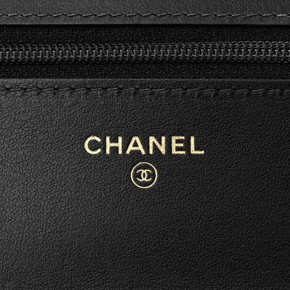Chanel Goatskin Quilted Chanel 19 Wallet On Chain WOC Black 6 of 12