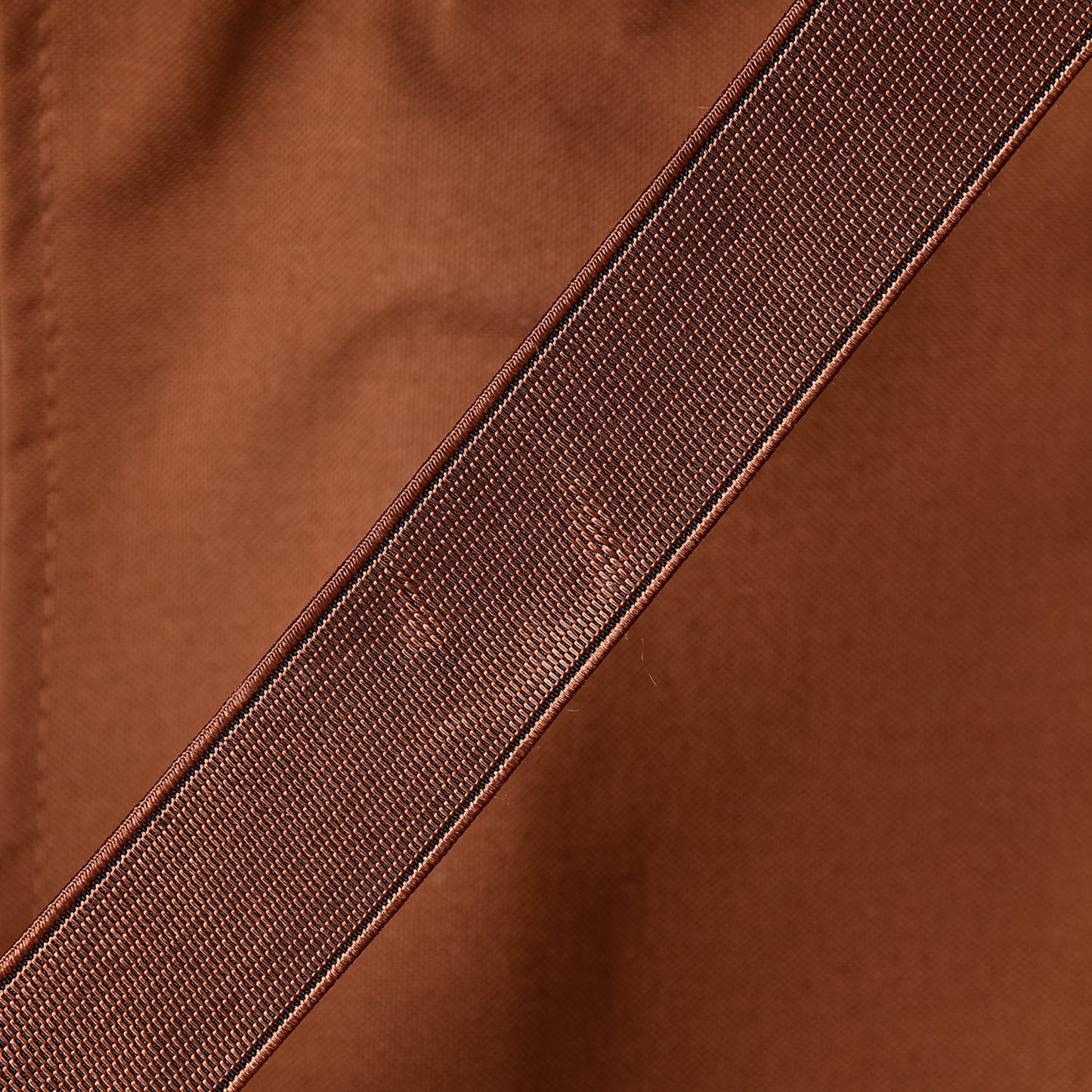 Monogram Pegase 55
