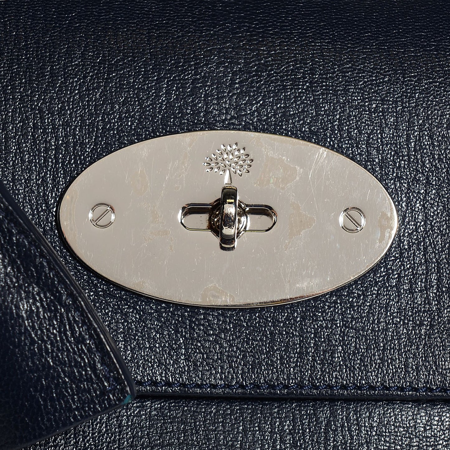 Glossy Goatskin Bayswater Midnight