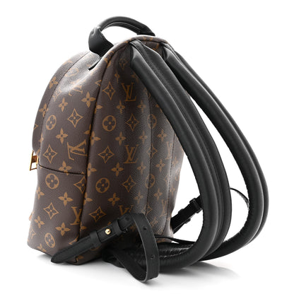 Louis Vuitton Reverse Monogram Palm Springs Backpack PM 3 of 11