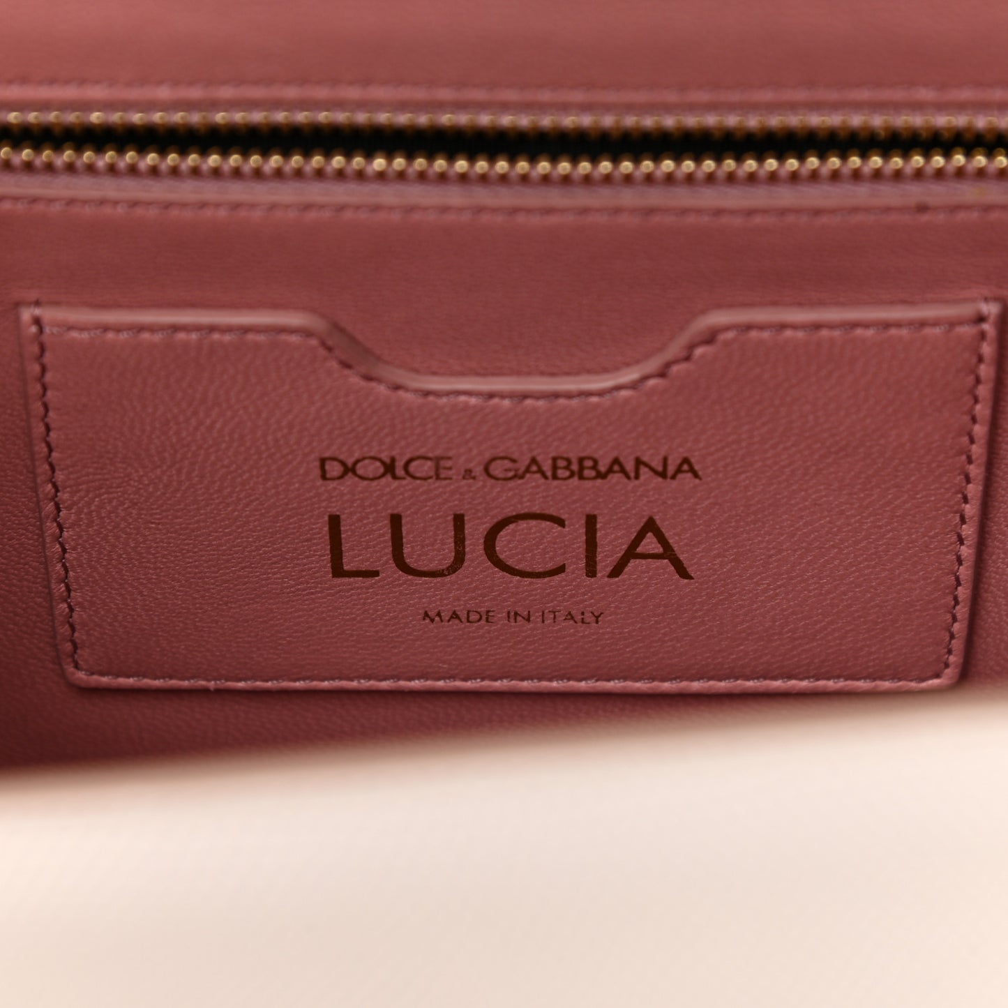 Iguana Calfskin Embossed Lucia Satchel Pink